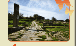 La citt� romana imperiale di Roselle