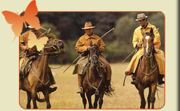 Butteri a cavallo