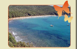 Il mare di Cala violina